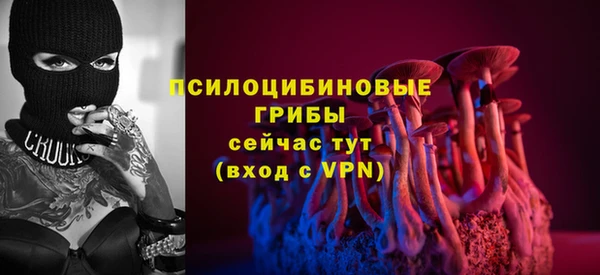 метадон Гусь-Хрустальный