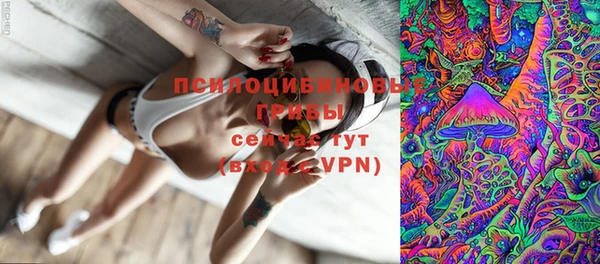 MDMA Гусиноозёрск