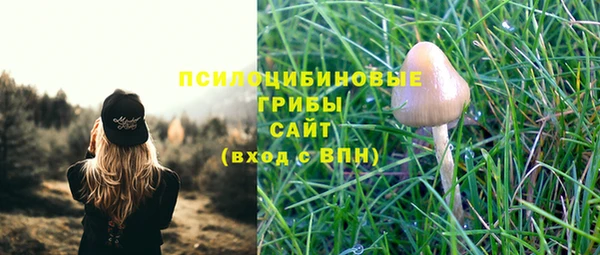 MDMA Гусиноозёрск