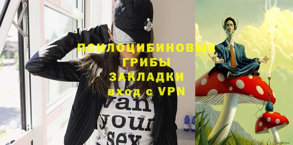 метадон Гусь-Хрустальный
