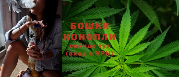 спайс Горнозаводск