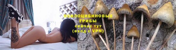 марки nbome Гусев