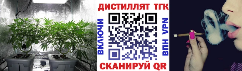 ТГК концентрат  Новоаннинский 