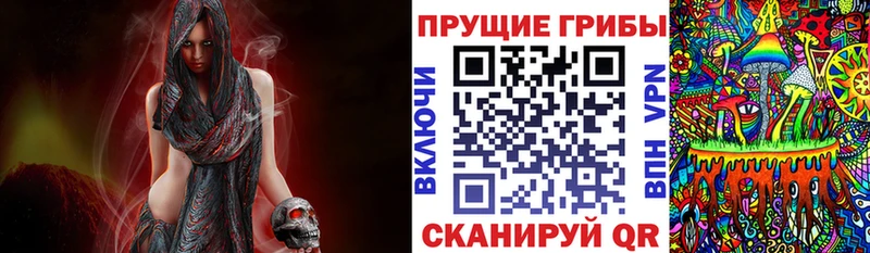 наркошоп  Новоаннинский  Псилоцибиновые грибы Cubensis 